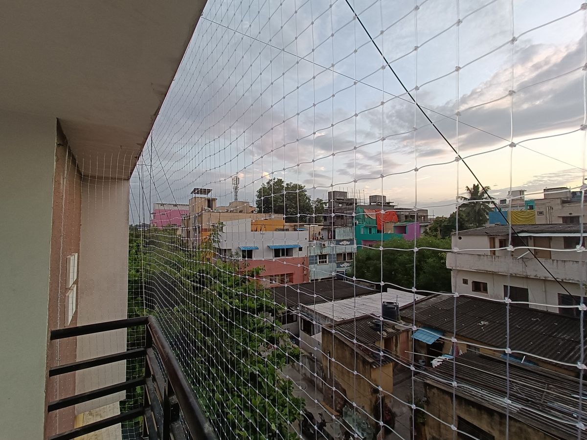OG Safety Nets