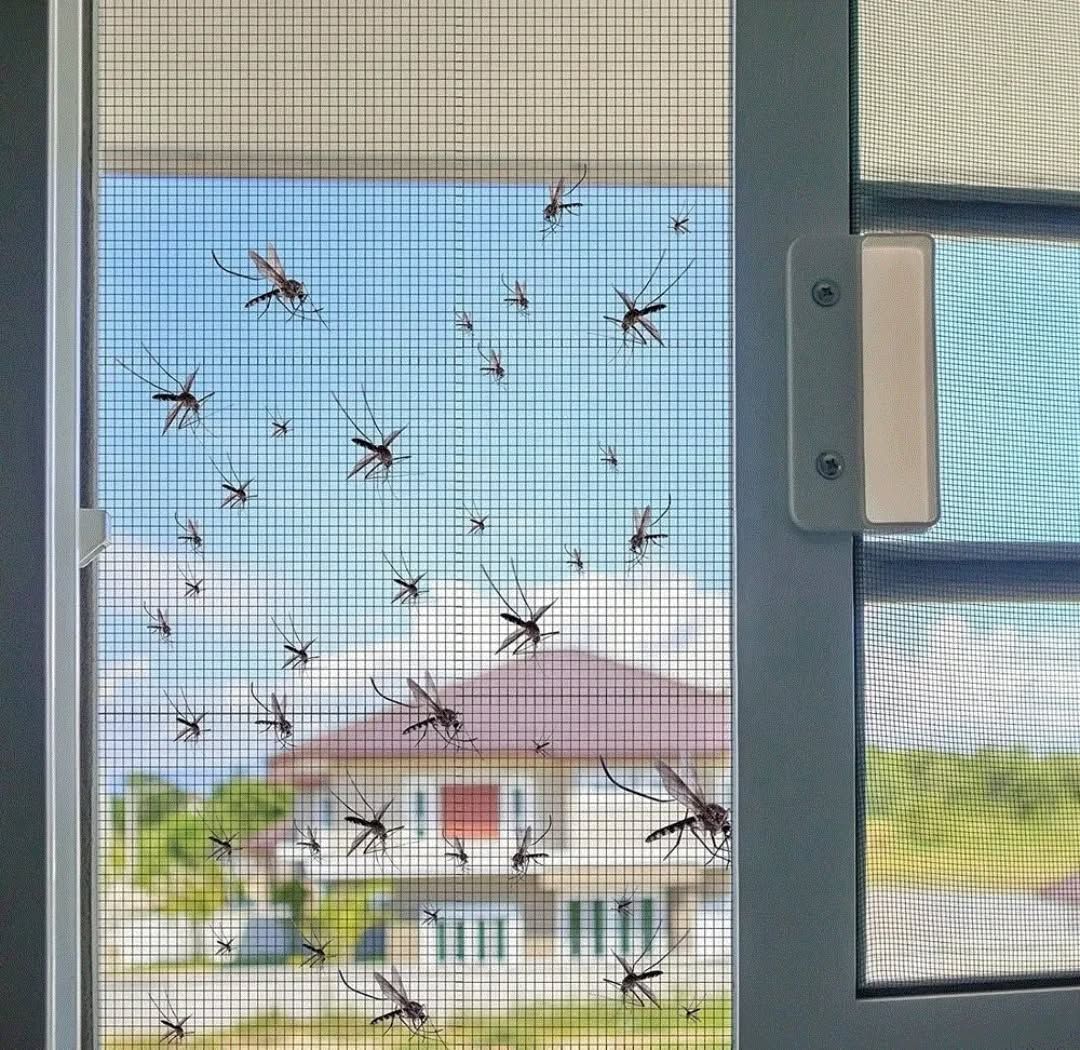 Balcony Safety Nets Installation