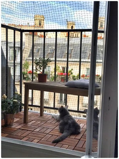 Balcony Safety Nets Installation