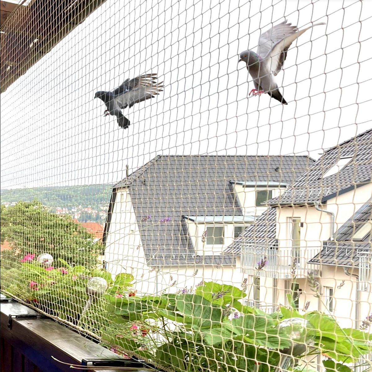 Invisible Grills and Safety Nets