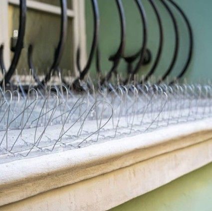 OG Safety Nets