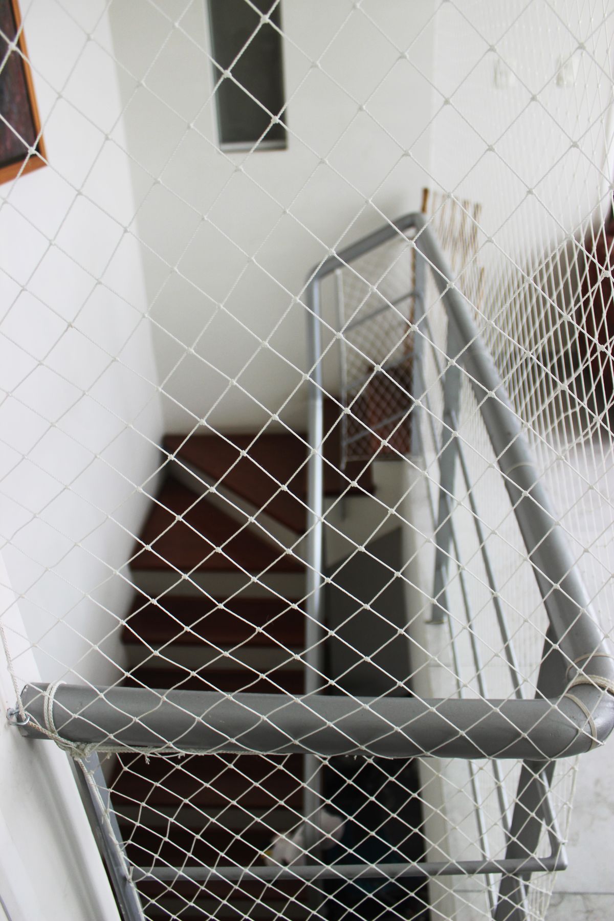 Invisible Grills and Safety Nets